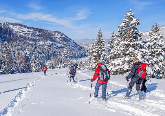 Raquetas de nieve