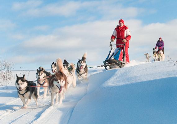 Trineo de perros (Mushing)